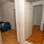 Dalmatino
