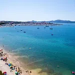 Dalmatino
